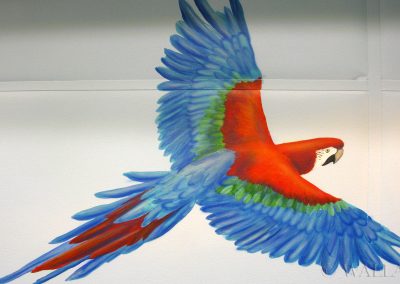 namalowana papuga